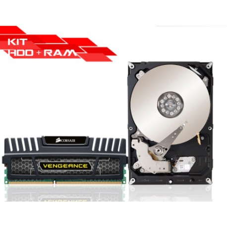KIT RAM 8GB 1600 + HDD 1TB